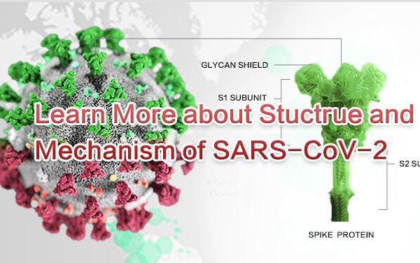 SARS-CoV-2 Recombinant Proteins