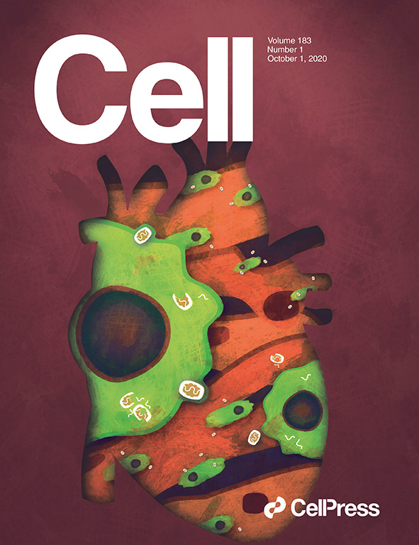 Research Spotlight | CELL: circRNA SCAR Alleviates NASH via Reducing mROS Output