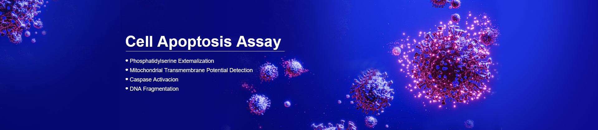 cell apoptosis assay