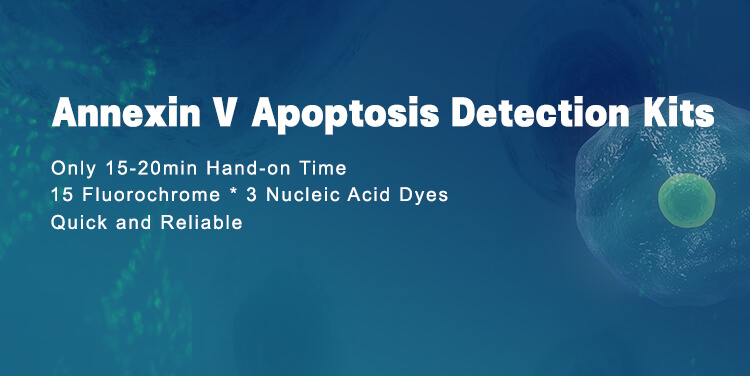 Annexin V Apoptosis Detection Kits