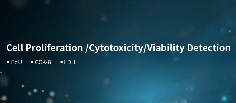  Cell Viability, Proliferation and Cytotoxicity Detection
