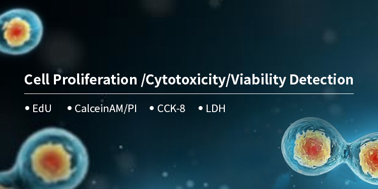  Cell Viability, Proliferation and Cytotoxicity Detection