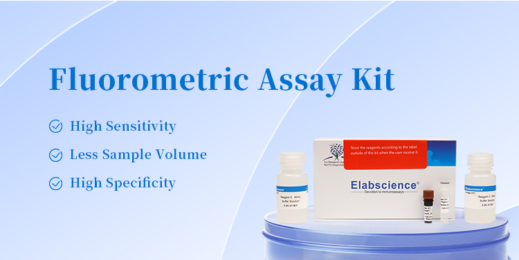 Fluorometric Assay Kit