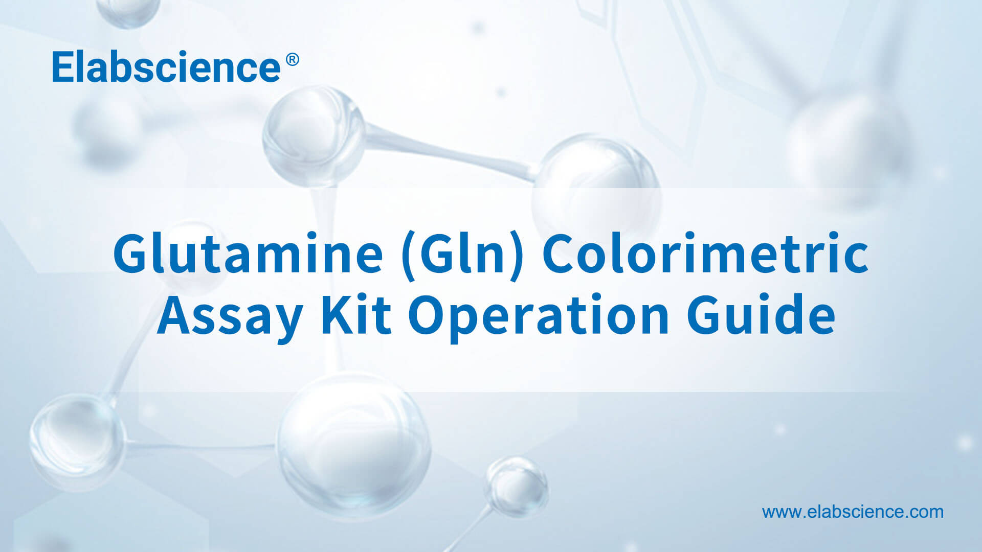 Glutamine (Gln) Colorimetric Assay Kit Operation Guide