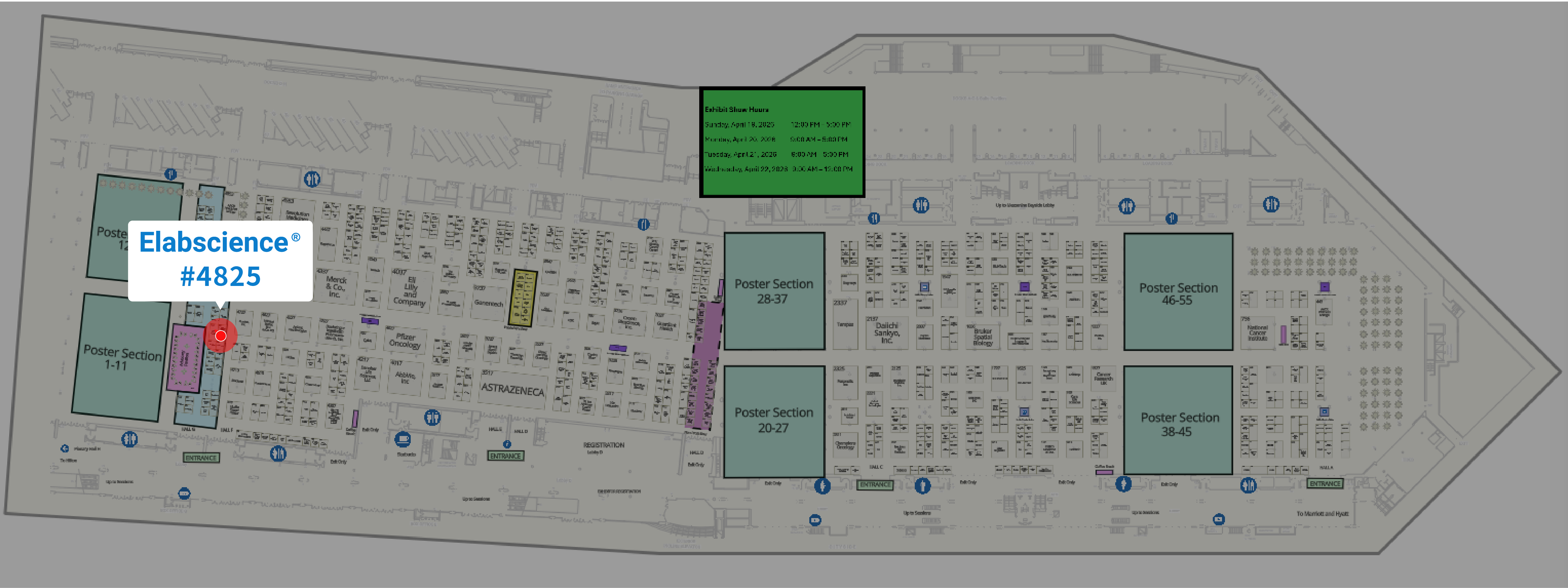 Meet Elabscience&reg; at AACR 2026 | Booth 4825 | End-to-End Cancer Research Solutions-1