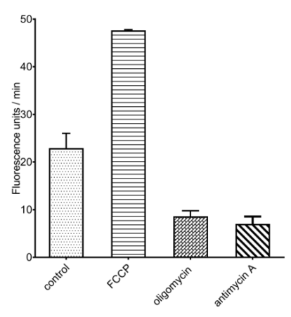 OCR changes in A549 cells treated with mitochondrial inhibitors or FCCP.
