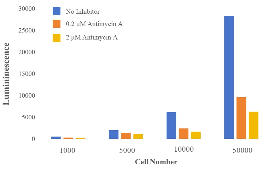 Viability of inhibitor-treated Hela cells with Cell Viability Chemiluminescence Assay Kit.