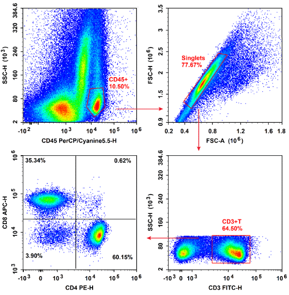 Flow cytometry of T cells in mouse 4T1 tumor tissue.