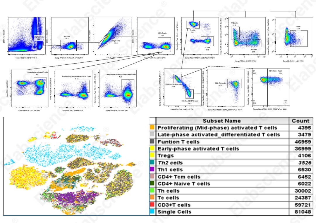 Spectral flow cytometry of human T cells with t-SNE analysis.