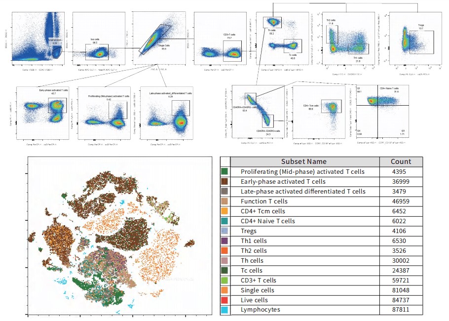 16-color spectral flow cytometry analysis of T cell subsets in human peripheral blood.