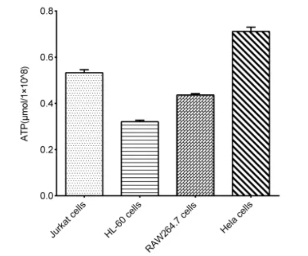 ATP assay kit (E-BC-F300) for ATP level detection in cells.