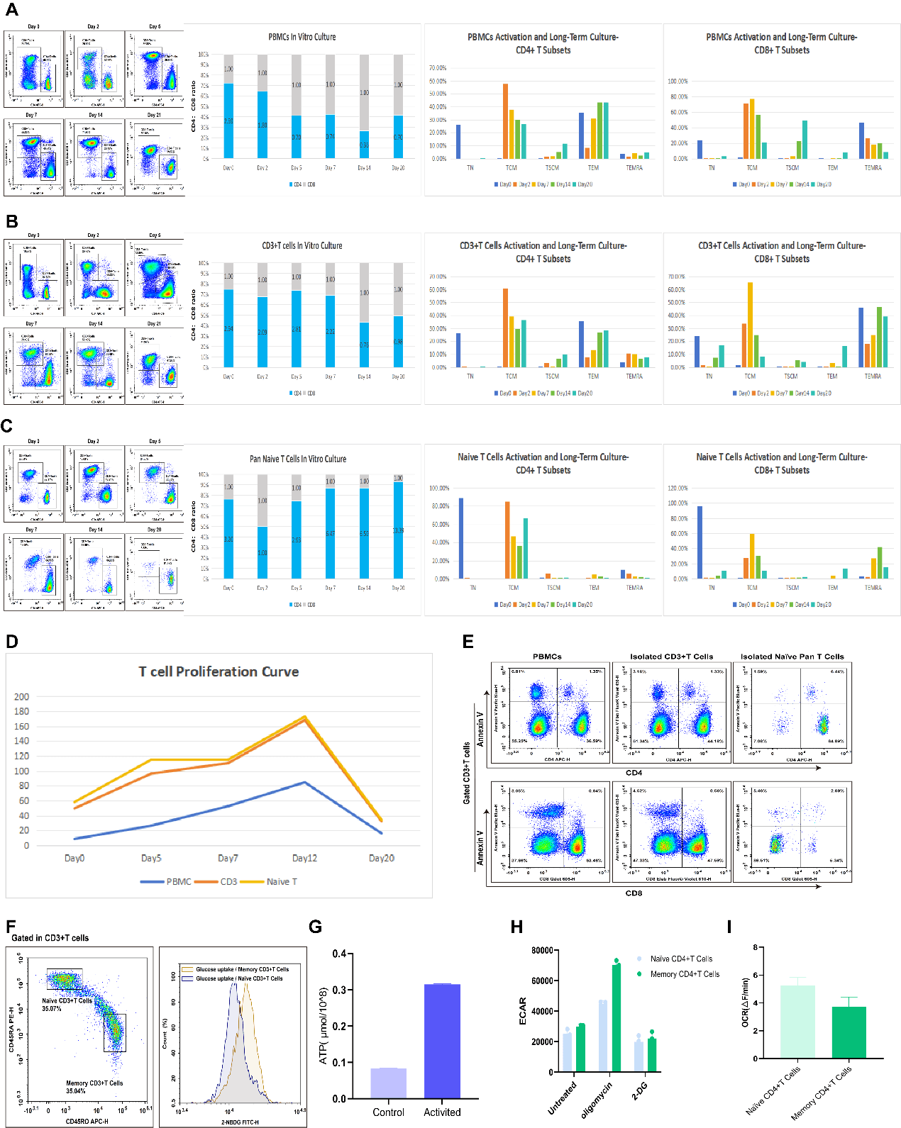 T cell phenotype, function, and metabolism during long-term culture.