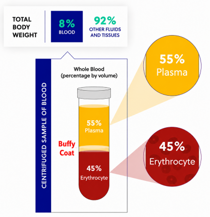 Centrifuged whole blood showing plasma, buffy coat, and red blood cell layers.