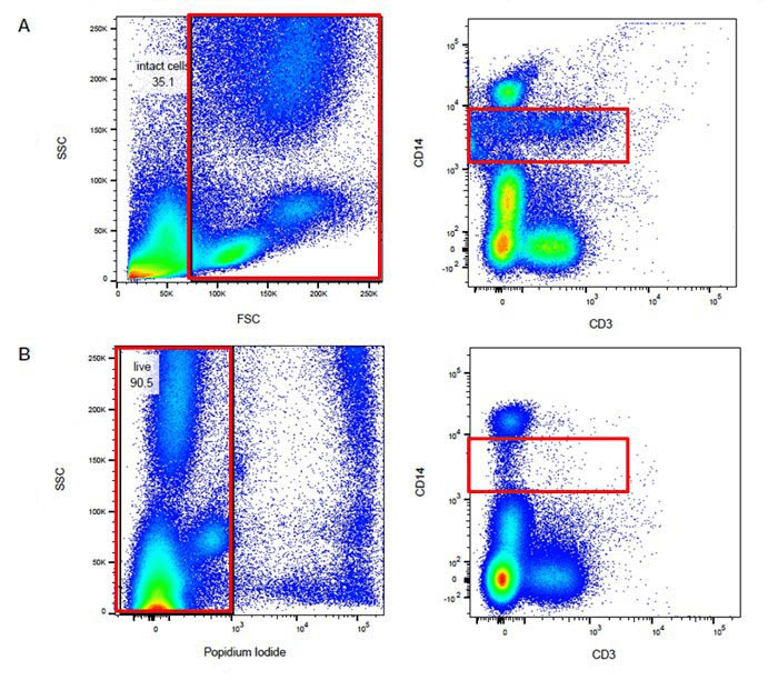 Flow cytometry results before and after excluding dead cells (PI-stained vs unstained).