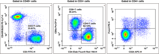 Flow cytometric analysis of Foxp3+ Treg cells in C57BL/6 mouse splenocytes.