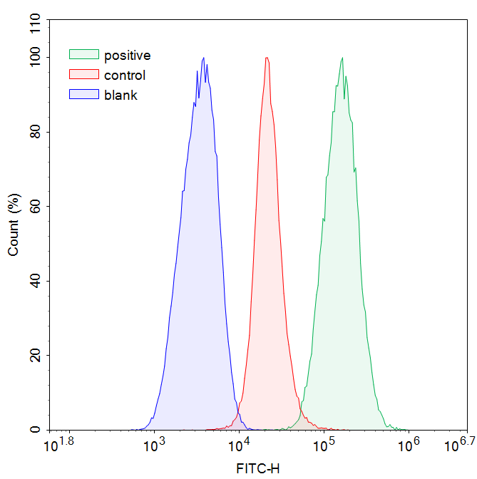 C11-BODIPY lipid peroxidation detection in 293T cells.