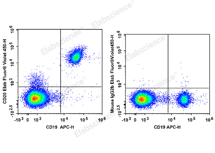 The Role of B Cells in Breast Cancer and Their Mechanisms Antibodies and Therapeutic Potential-1