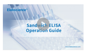 Master ELISA: Step-by-Step Video Guide to ELISA Experiments-1