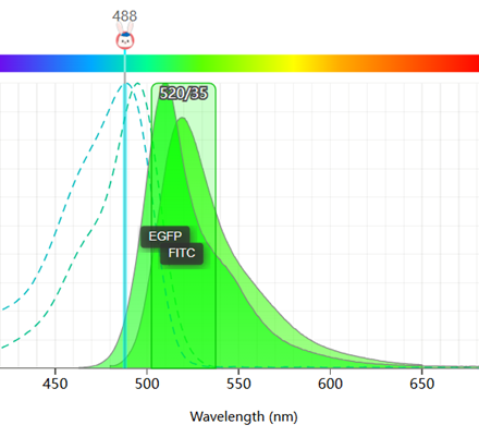 Spectral overlap between FITC and EGFP in flow cytometry.