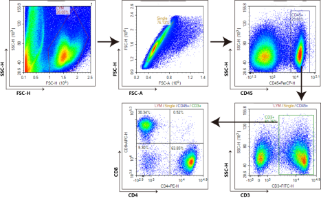 Flow cytometry analysis of tumor-associated T cells in 4T1 xenografts.