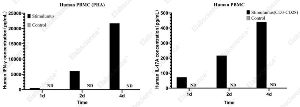 IFN-&gamma; and IL-17A in activated PBMC cytokine assay.