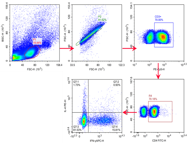 Mouse Th1 and Th2 cells expressing IFN-&gamma; or IL-4