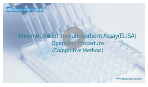 Master ELISA: Step-by-Step Video Guide to ELISA Experiments-2