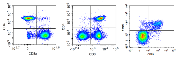Flow cytometry marker relationships: CD4 CD8, CD3 CD4, CD25 Foxp3.
