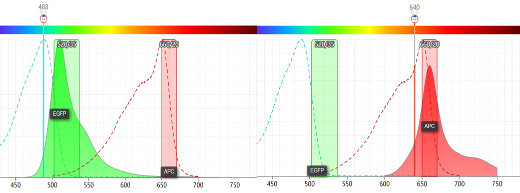 Excitation and emission spectra comparison of EGFP and APC.