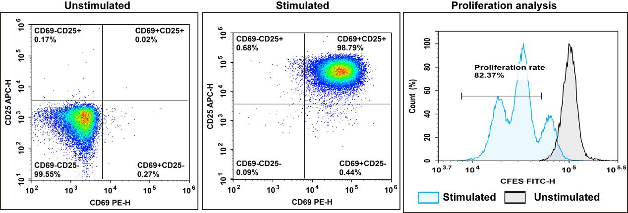 Human Na&iuml;ve Pan T cells after negative isolation and rapid activation.