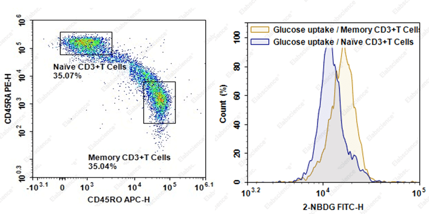 2-NBDG glucose uptake in T cell subsets.