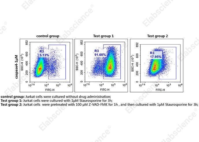 Flow cytometry detection of caspase-4 activity in Jurkat cells.