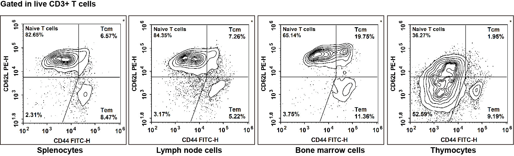Flow cytometry profiles of naive T cells, TCM, and TEM cells in mouse tissues.