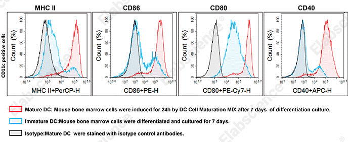 Flow cytometric phenotyping of BMDCs after differentiation and maturation.