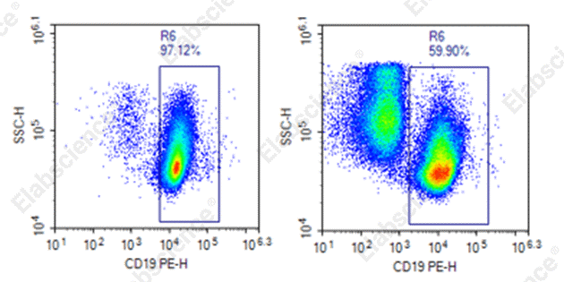 B cell sorting results from mouse spleen and bone marrow samples. style=