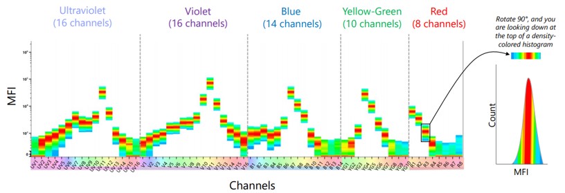 Spectral flow cytometry detection principle.