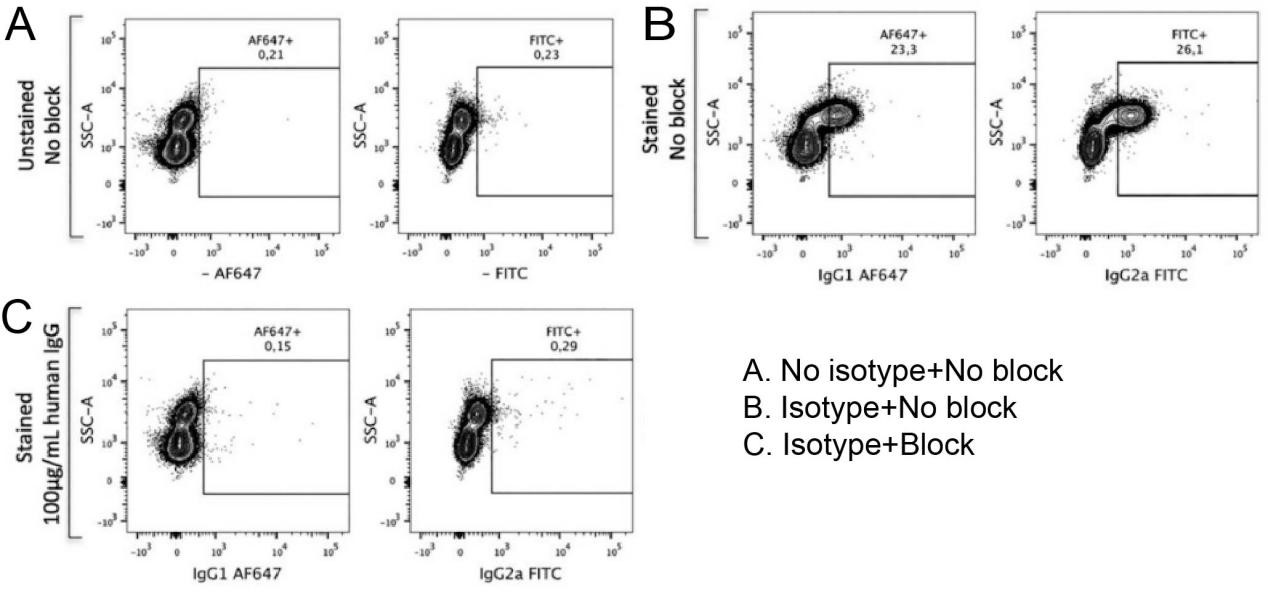 Background fluorescence with blank, isotype control, and Fc receptor blocking conditions.