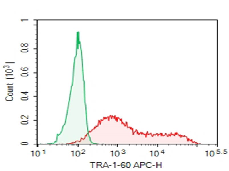 TRA-1-60 antibody staining analysis in NCCIT cells by flow cytometry.