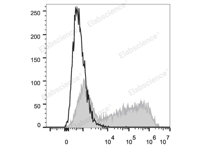 IL-6 expression analysis in transfected HEK293T cells.