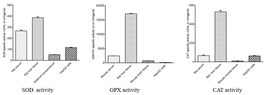 Antioxidant enzyme activities (SOD, GPx, CAT) measured using activity assay kits.