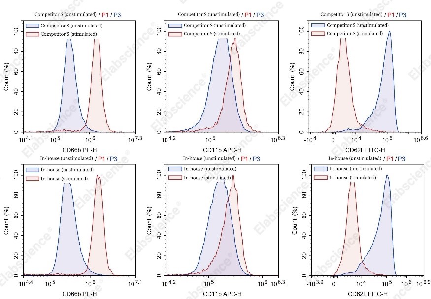 New Product Launch | Overcome Human Granulocyte Research Challenges with High-Purity, Viable Cell Isolation Kits-6