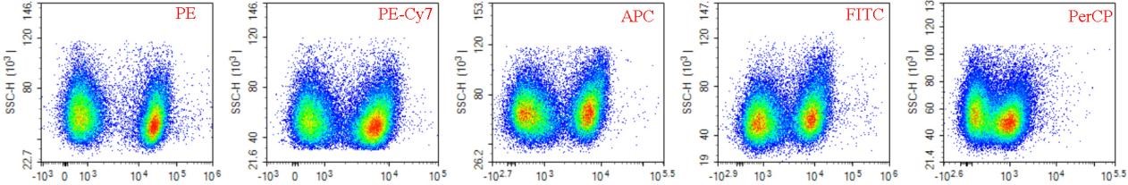 Fluorochrome brightness effect on CD40 flow cytometry staining.
