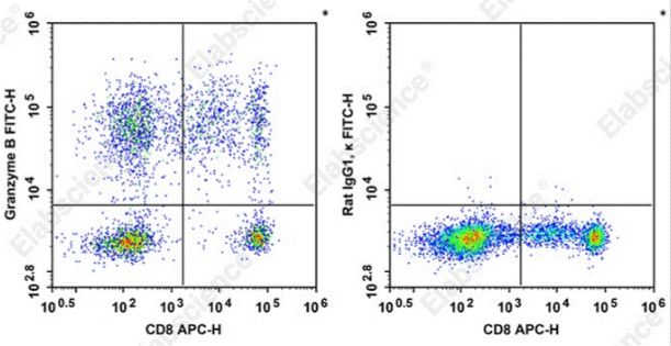 Granzyme B expression in human CD8 T cells.