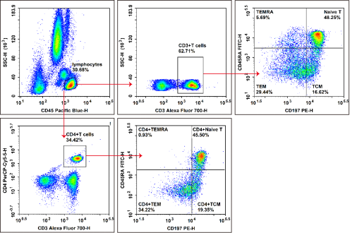 Flow cytometric detection of Treg cells in human PBMCs.