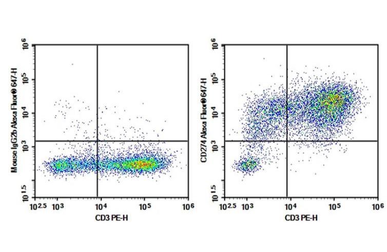 Detection of PD-L1 expression in exhausted human T cells.