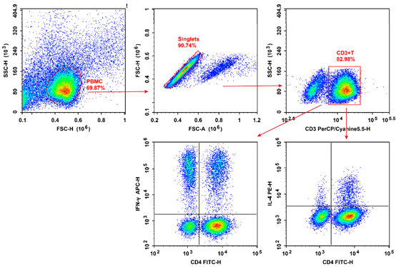 Flow cytometry analysis of Th1 and Th2 cells in human blood.
