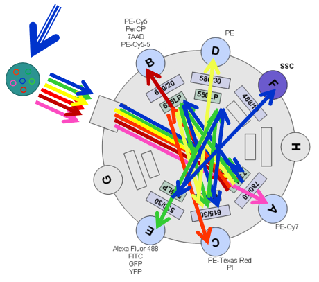 Flow cytometry optical signal collection.