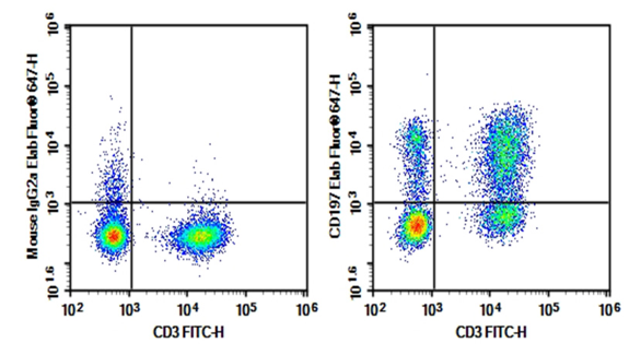 Anti-Human CCR7 antibody for T cell phenotyping by flow cytometry.