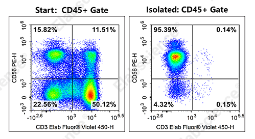 Flow cytometry validation of human NK cell isolation purity from PBMCs.
