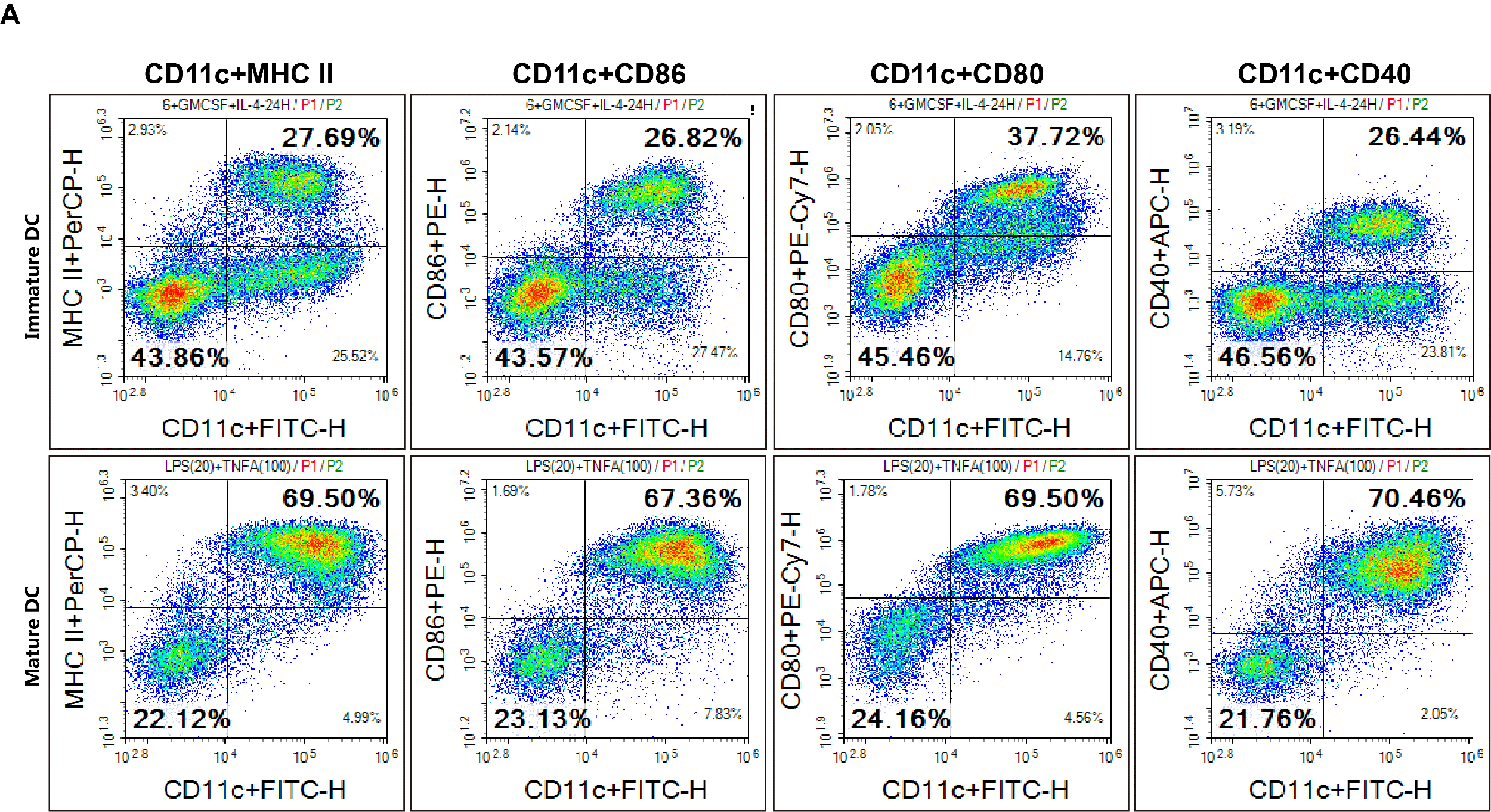 Flow cytometry of matured bone marrow-derived dendritic cells (BMDCs) from C57BL/6 splenocytes.